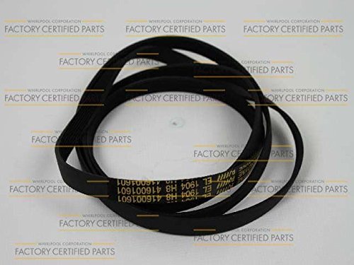 Whirlpool W8183101 Dryer Drum Belt Genuine Original Equipment Manufacturer (OEM) Part for Whirlpool