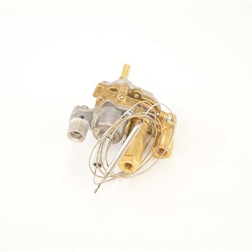 WB20K10020 GE Modulating Thermostat Genuine OEM WB20K10020 ,,by# mrchgoparts~hee144381666568704