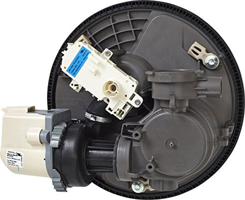 Whirlpool W10482482 Motor and Pump